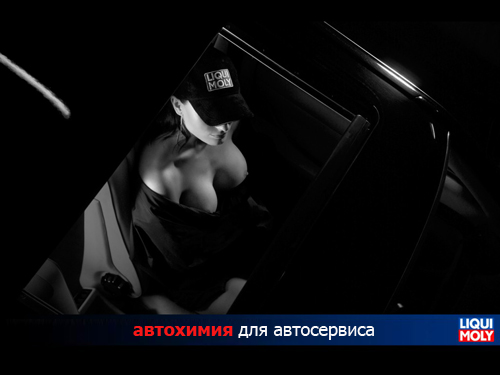 Профессиональная автохимия LIQUI MOLY для СТО от компании "Амтул"