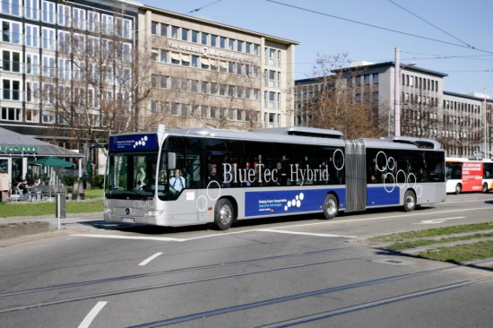 Битва за зелень