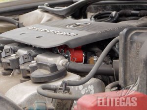 Элит Газ