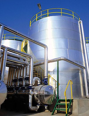 Prista Oil. Болгарское экономическое чудо