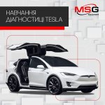ONLINE-навчання діагностиці TESLA
