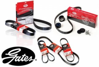 KIAPARTS, Gates та Continental: лідерство у клієнтському сервісі.