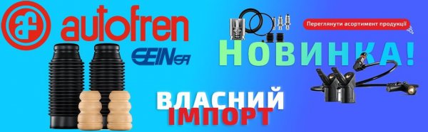BEG AUTO: з власним імпортом – курс до автосервісів.